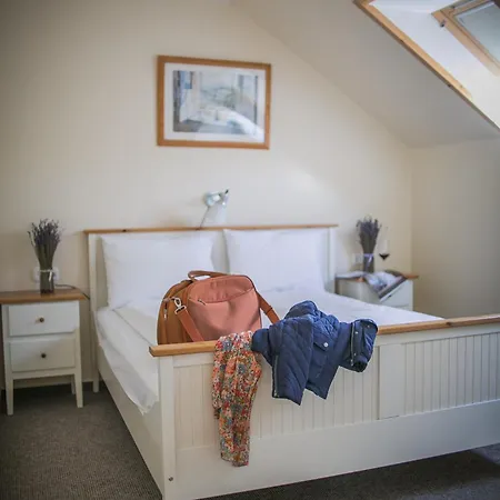 Imola Udvarhaz Dessert 埃格尔